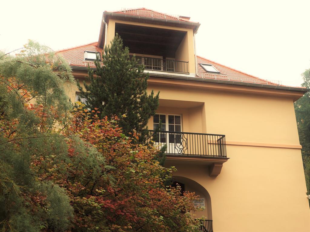 Apartments Smag Obere Burgstrasse Pirna Esterno foto
