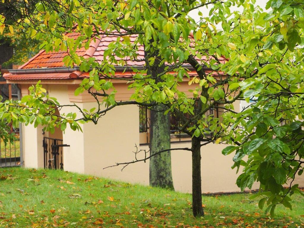 Apartments Smag Obere Burgstrasse Pirna Esterno foto